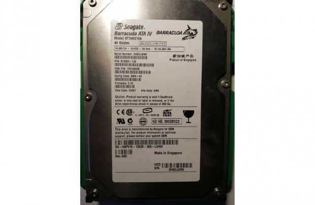 Winchester Seagate 40 Gb