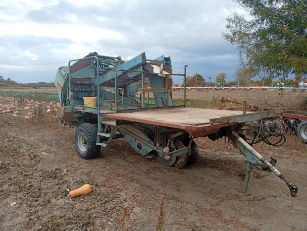 Whlmaus 644 Burgonyakombjn Krumplikombjn Szed Kombjn