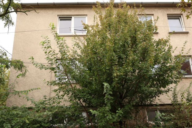 XIV. kerületi eladó tégla családi ház