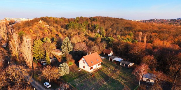 XI. Buda�rsi �t, csal�di h�z z�ld�vezetben, egy lak�s �r��rt