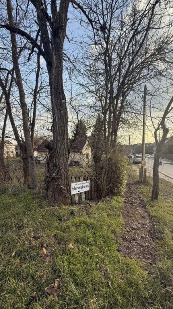 XVII. Ker�let, Szigetcs�p u k�rny�ki utca, 936 m2-es, telek