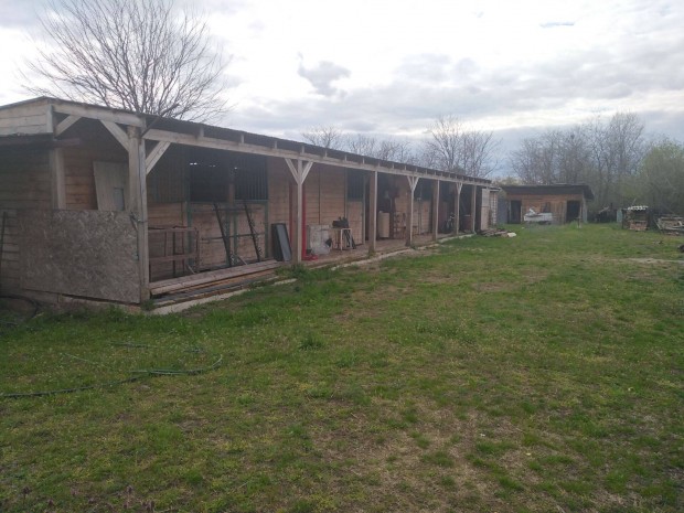 XVII. ker�leti �llattart�sra, gazd�lkod�sra alkamas ingatlan kiad�