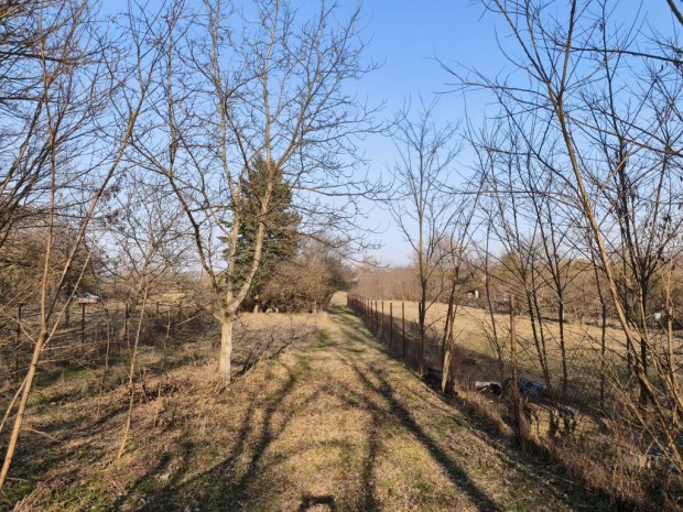 XVI. Ker�let, Cinkota, 828 m2-es, telek