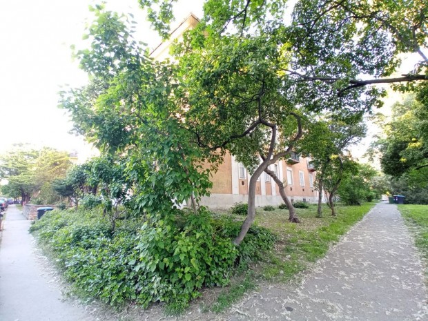 XV. Kerlet, TTIKA utca, 61 m2-es, szutern, trsashzi laks