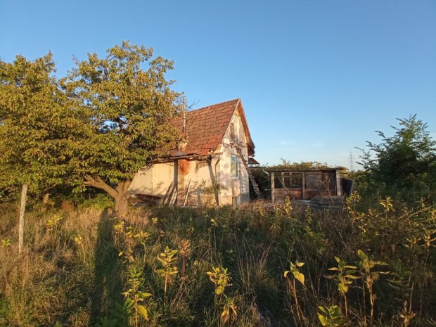 XXIII. Kerület, KÖZÖS LEGELŐ dűlő, 40 m2-es, családi ház, 1 szobás
