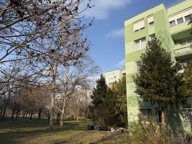 XXI. Ker�let, Erd�sor Lak�telep, 64 m2-es, t�rsash�zi lak�s, 2+1