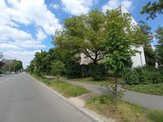 XXI. Kerület, KATONA JÓZSEF utca, 45 m2-es, magasföldszinti,
