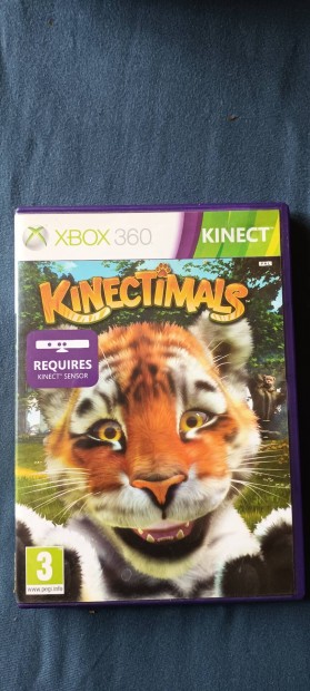 Xbox 360 Kinectimals, Kinect
