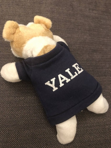 Yale egyetem plss bulldog