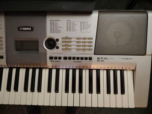 Yamaha E 403