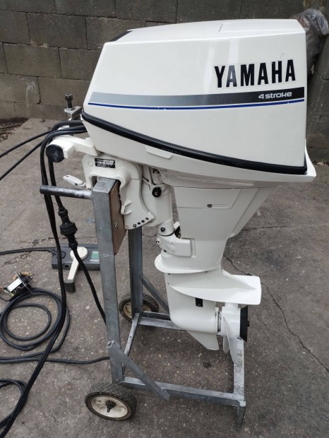 Yamaha F9.9AE csnakmotor