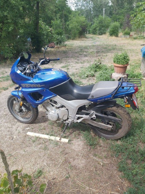 Yamaha TDM 3 Vd