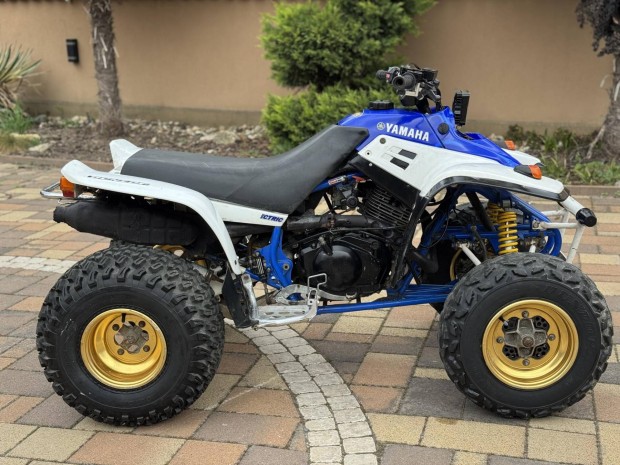 Yamaha Yfm 350 Warrior