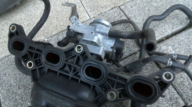 Yaris szccs, pillangszelep Budattnyben 1999-05