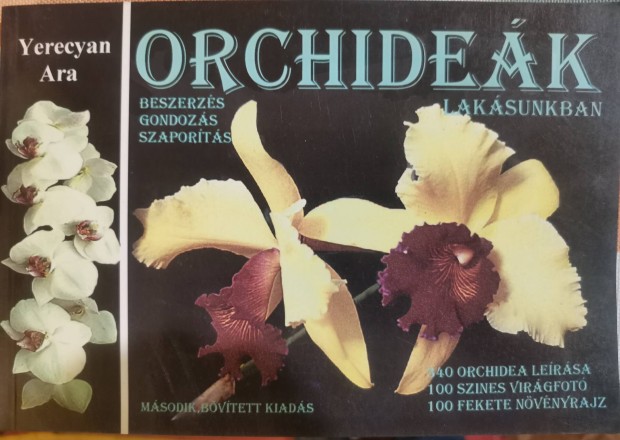 Yerecian Ara : Orchidek a laksunkban