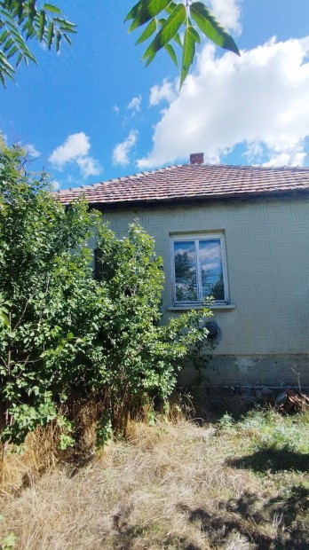 Zagyvar�kas 3 szoba+ nappali csal�di h�z