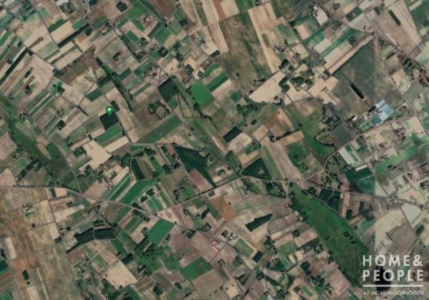 Z�k�nysz�ken erd� elad�!