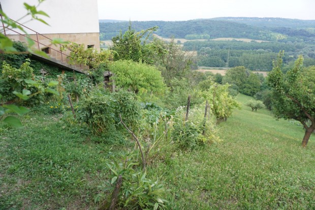 Zalaegerszeg Gvahegyen panorms terlet elad!