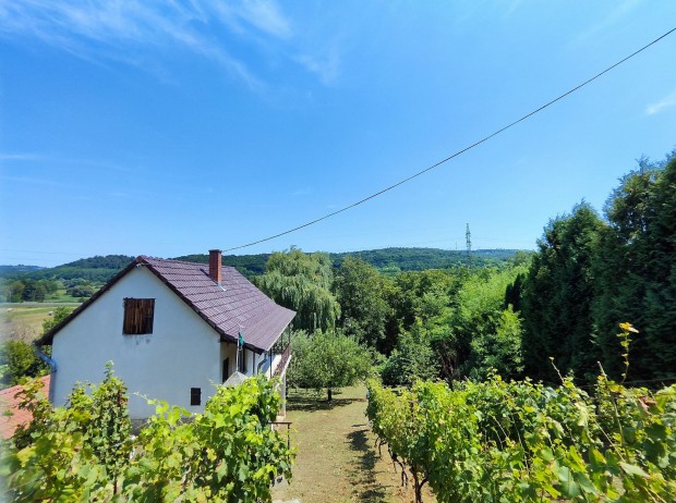 Zalaegerszegen AZONNAL KLTZHET, BTOROZOTT vroskzeli hzik nagy