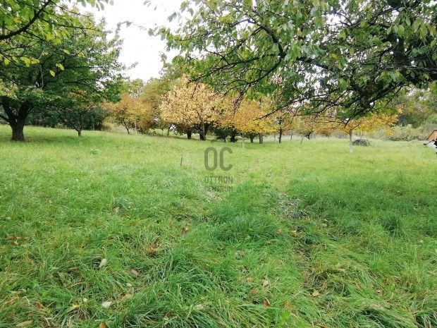 Zalaegerszegen  telek elad�