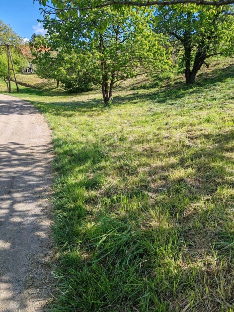 Zalaegerszegen zrtkerti bepthet telek