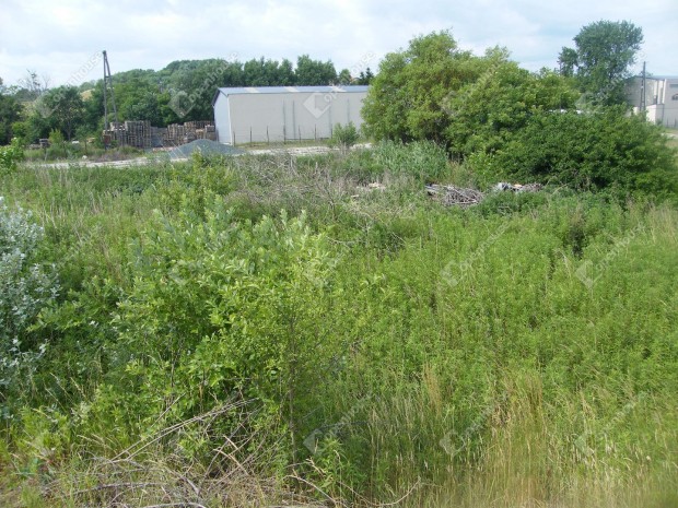 Zalaegerszegi 5074 nm-es telek elad�