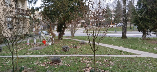 Zalaegerszegi 52 nm-es lak�s elad�