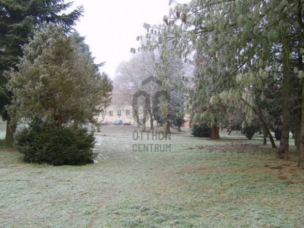 Zalaegerszegi elad� 9000 nm-es telek