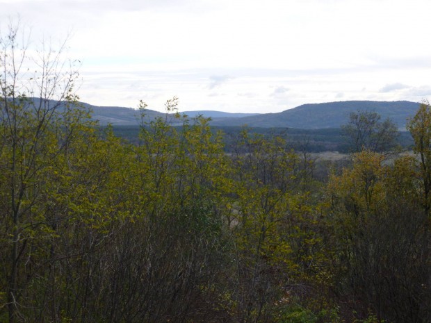 Zalahal�pon Panor�m�s Z�rtkerti Telek Elad�!