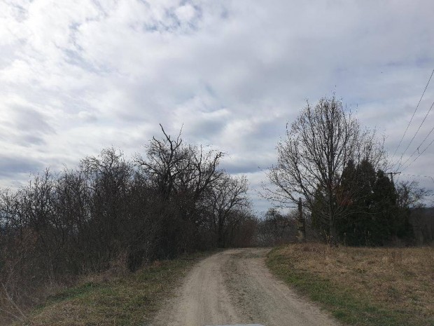 Zalaszntn zrtkerti bepthet telek elad