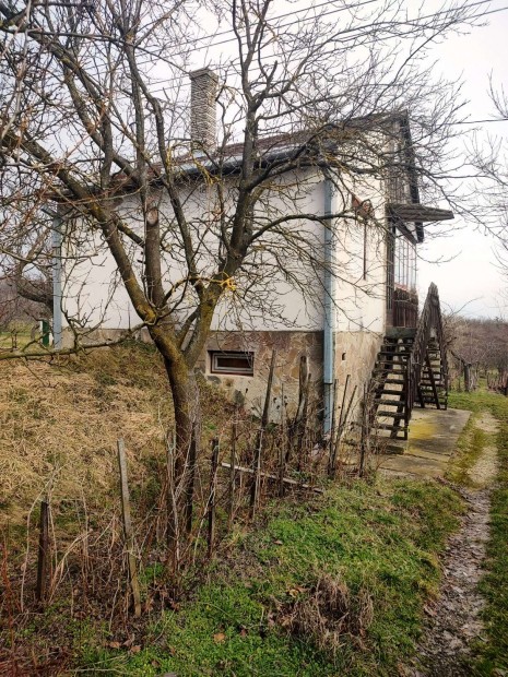 Zalaszentl�szl�n sz�l��ltetv�ny, gy�m�lcs�s elad� �r�kpanor�m�s helyen