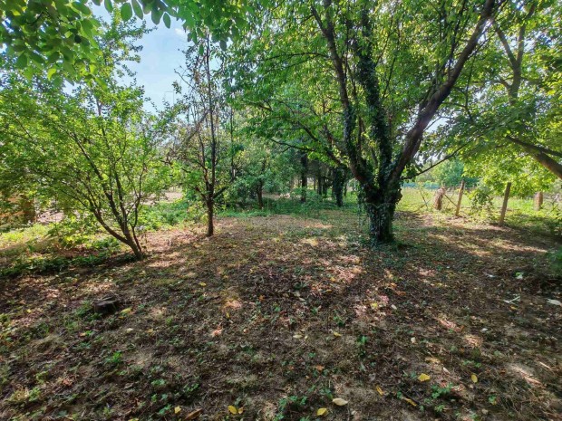 Zalav�ron elad� �p�t�si telek