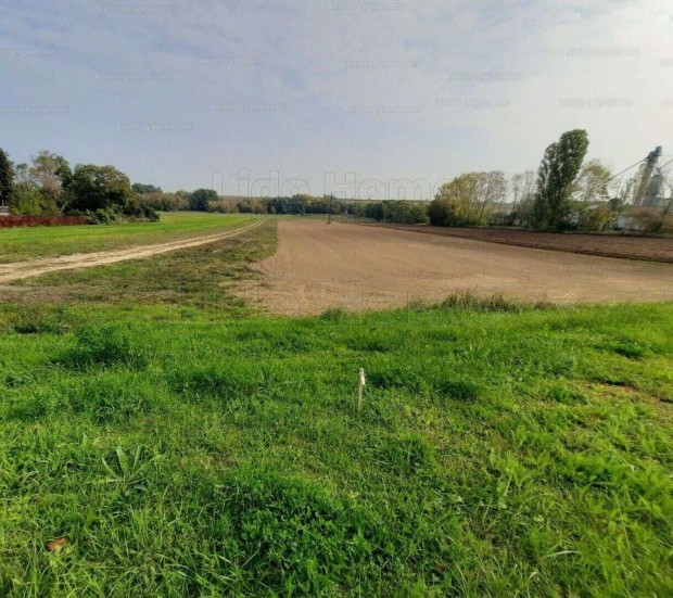 Zam�rdi K�hegyen panor�m�s telek elad�