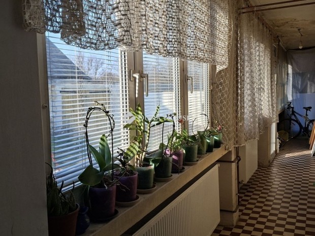 Z�molyi elad� 125 nm-es h�z