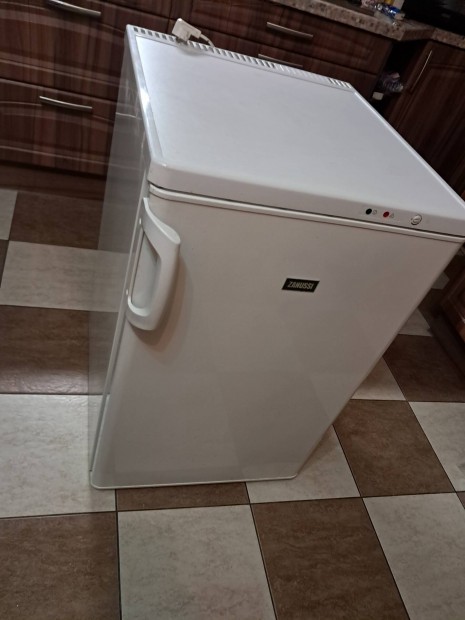 Zanussi 110literes  fagyaszt szekrny , htszekrny 