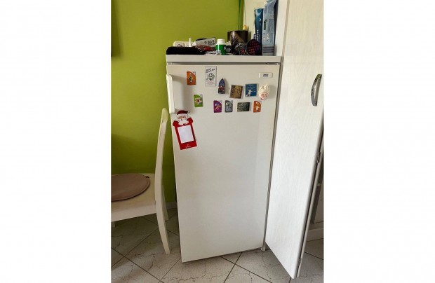 Zanussi Lehel 120l-es hasznlt htszekrny elad