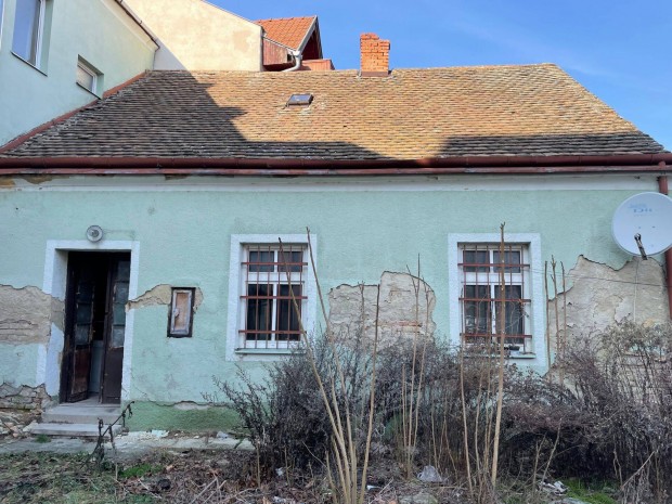 Zrt udvarban, feljtand laks elad