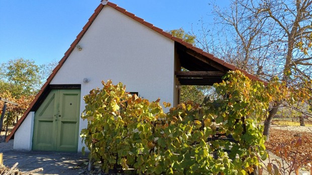 Z�rtkert/ hobbi/ Cegl�den elad�