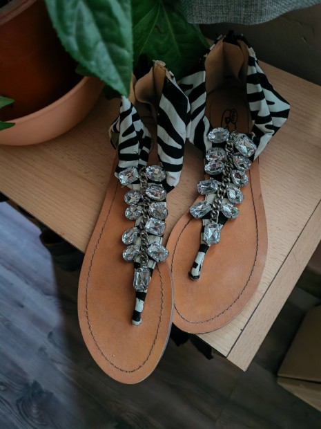 Zebra Saru 39