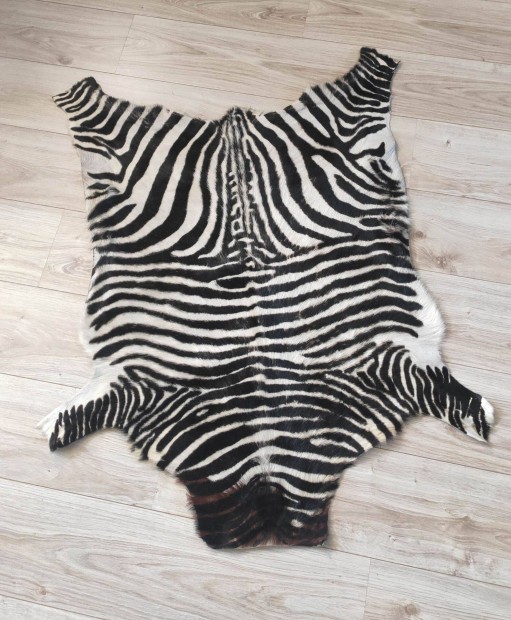 Zebra br elad