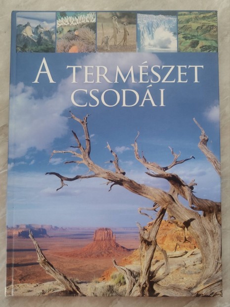 Zima Szabolcs: A termszet csodi