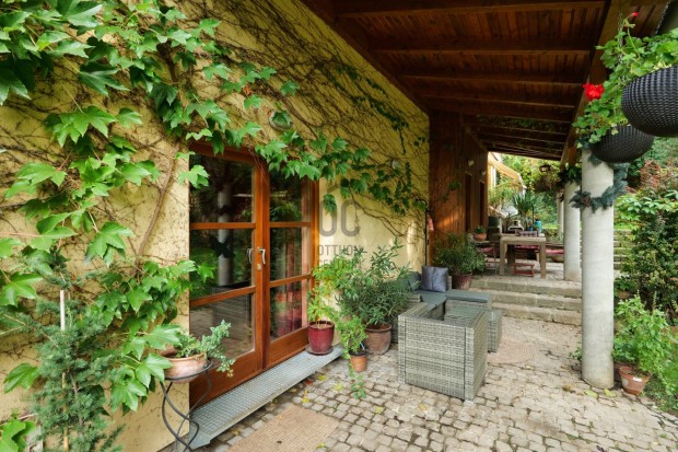 Z�ld�lelte Csal�di �lmok Csob�nk�n - 2gener�ci�nak avagy v�llalkoz�sra