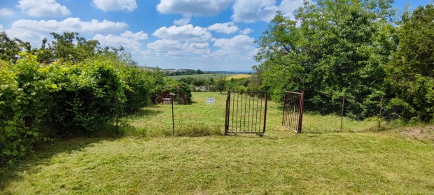 Zsmbk zrtkert elad panorms 