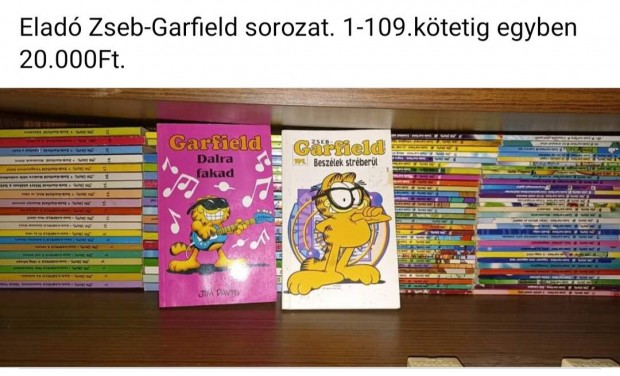 Zseb Garfield sorozat