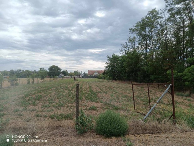 Zsombn, 1.400 m2-es bekertett telek elad belterlet hatrban