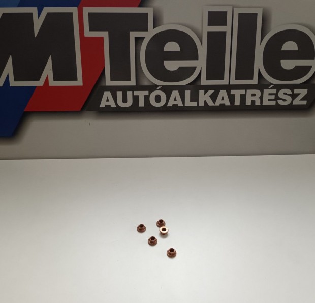 (GY�RI �J) BMW Anya �R / DB