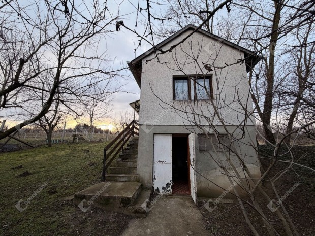 Saj�t kis mened�ked a term�szet �lel�s�ben.