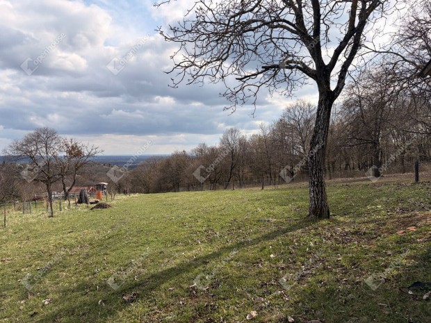 Term�szetk�zeli nyugalom, hat�rok n�lk�li lehet�s�gekkel.