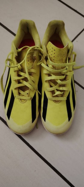 adidas focicip 