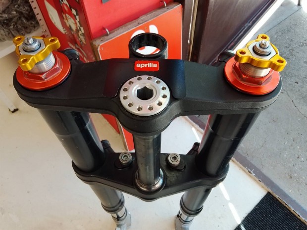 aprilia RSV Mille els futm